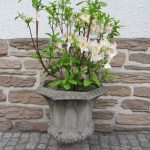 Pflanzgefaess im gotischen Stil
